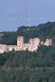 Château de Roussillon (XIIe et XIIIe siècles) - FRANCE