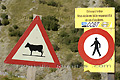 Panneaux de prevention de la présence de vaches et d'interdiction aux piétons - SUISSE