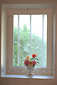 Pot de fleurs sur le rebord d'une fenêtre - FRANCE