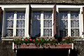 Fenêtres d'un chalet à Ernen avec rideaux et géraniums - SUISSE