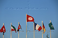 Drapeau tunisien entouré du drapeau suisse, iranien, anglais, français, allemand et saoudien