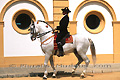 Cavalier de l'Ecole royale andalouse d'art équestre de Jerez - ESPAGNE