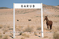 Cheval libre du Namib devant le panneau du territoire de Garub - NAMIBIE
