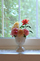 Bouquet de roses sur le bord d'une fenêtre - FRANCE