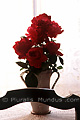 Bouquet de roses rouges - FRANCE