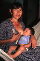 Femme de l'ethnie Wayu allaitant son enfant dans un hamac - COLOMBIE