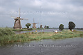 Réseau des moulins de Kinderdijk-Elshout - PAYS-BAS
