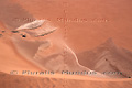 Dune - NAMIBIE