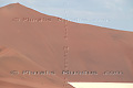 Dune - NAMIBIE