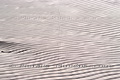 Vagues de sable dans le désert - EGYPTE