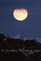 Pleine lune sur les Alpes - SUISSE