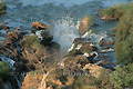 Epupa falls, chute sur la rivivère Kunene - NAMIBIE