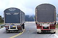Camions sur route sinueuse des Andes - COLOMBIE