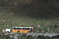 Bus de la Poste suisse - SUISSE