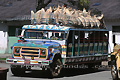 Bus traditionnels colombiens (chivas) transportant du café - COLOMBIE