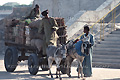 Charette contenant des provisions tirée par un âne et une mule - EGYPTE