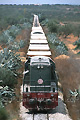 Train de marchandises - TUNISIE
